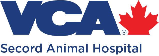 Secord Animal Hospital